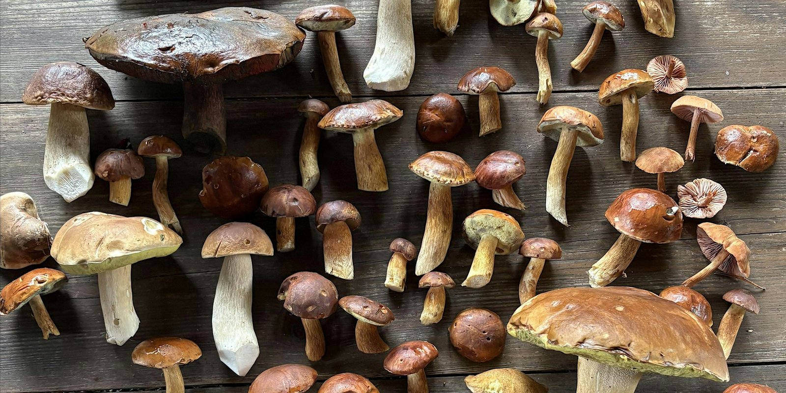 70d1ffc671eab04b5e7d26b16f145037